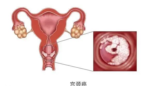 微信图片_20221026131056.jpg