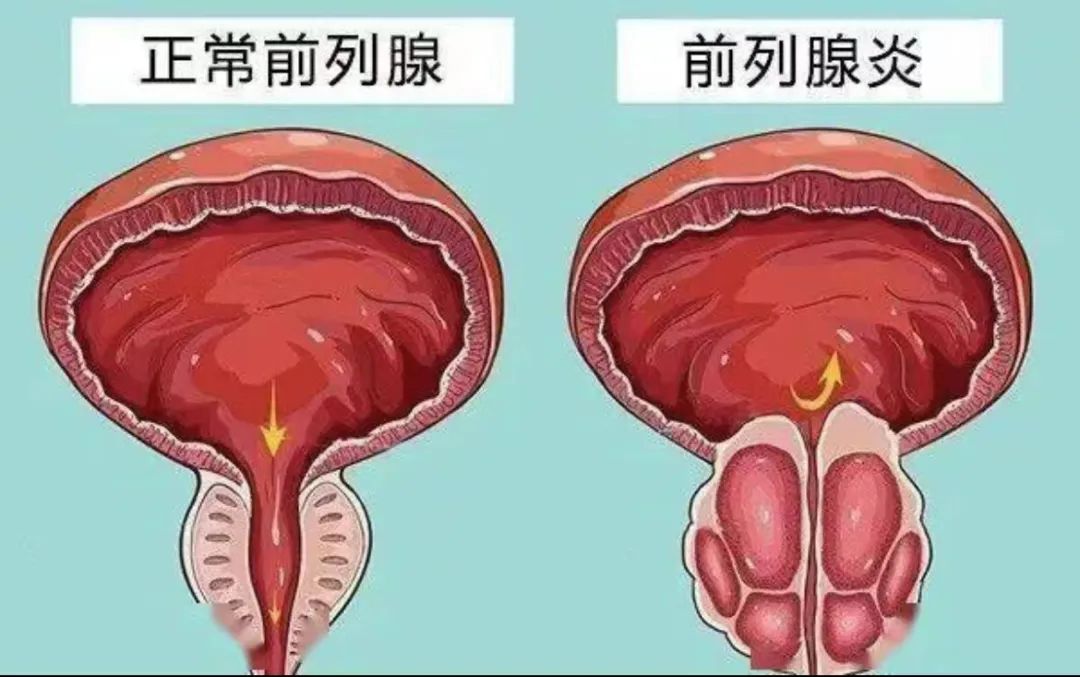 微信图片_20221026131702.jpg